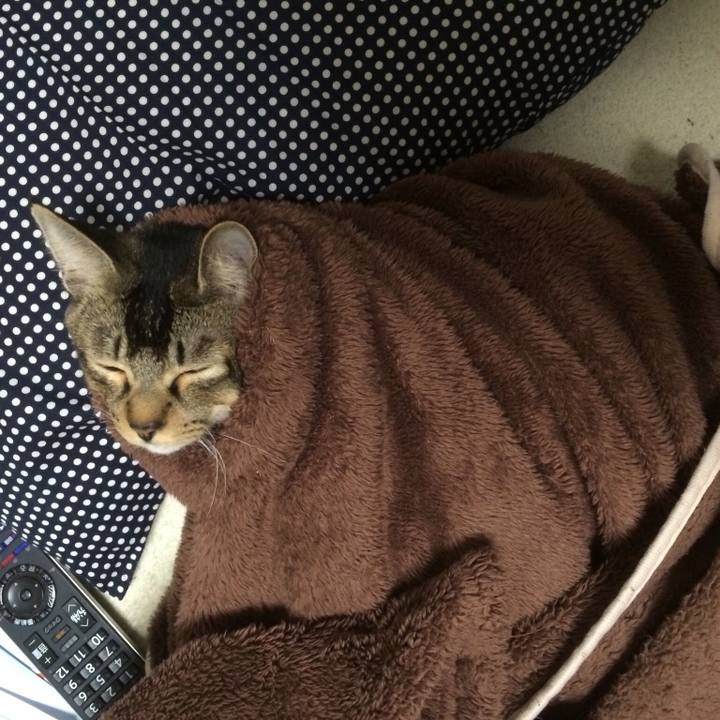 Eeaca48e b22b 45e9 aab9 05e5aa24e0f7