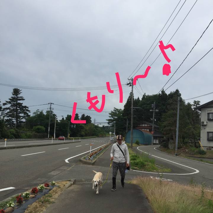 Eead0ad1 7de4 4414 9886 9846b1bc78db