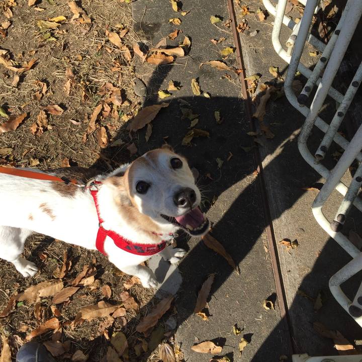 Eead7fe7 98e2 4002 8816 0ad445602750