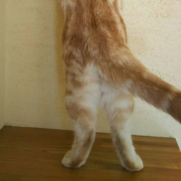 Eeade3cd 01b6 4025 8a45 cebc6df71624