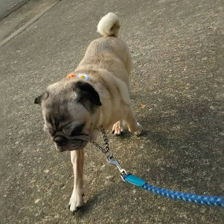 Eeae901e 991b 42e0 a870 3ecba0b6f196