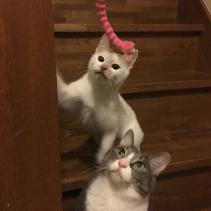 Eeaf0bae de3c 4d44 abd5 61cafca5aa51