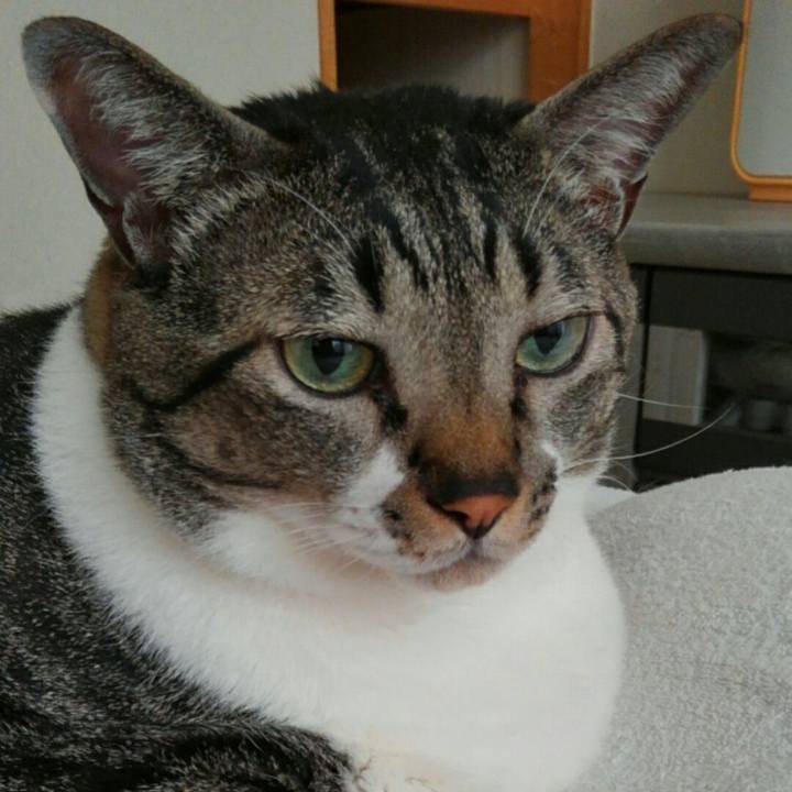 Eeaf55f5 0f71 4a68 95e2 9e84814f949b