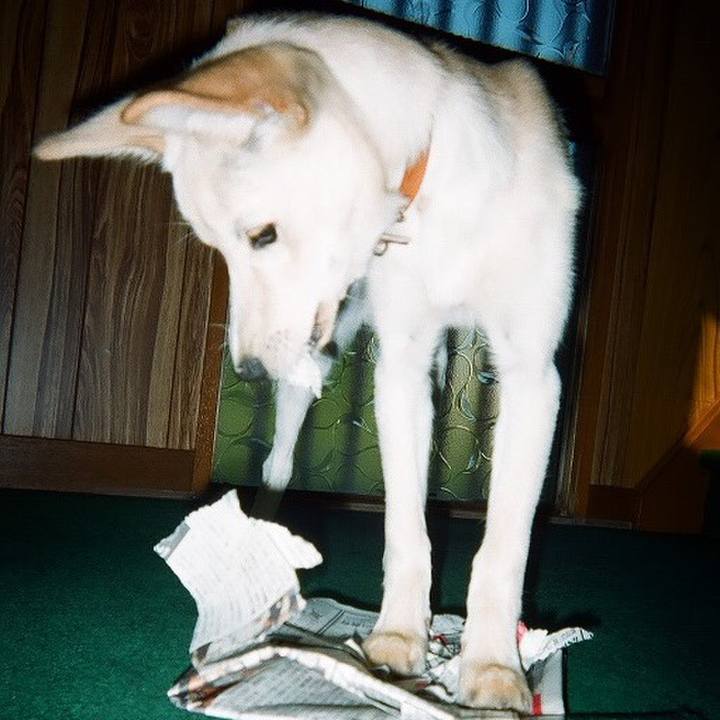 Eeafa8d1 fe21 4c8a 956e 62bdfa298f80