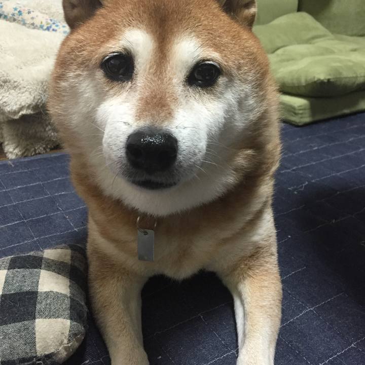 Eeaff7cf 5d75 4600 bf55 f02072885476