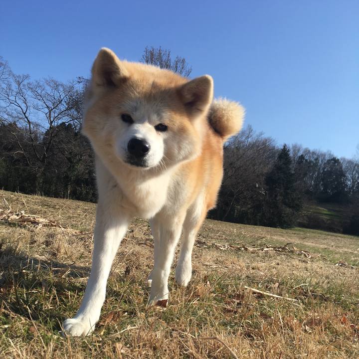 Eeb021d5 28f3 4ede 895c 4a4804e28beb