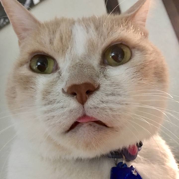 Eeb029c4 2d7c 4924 a41a 997c7b86279f