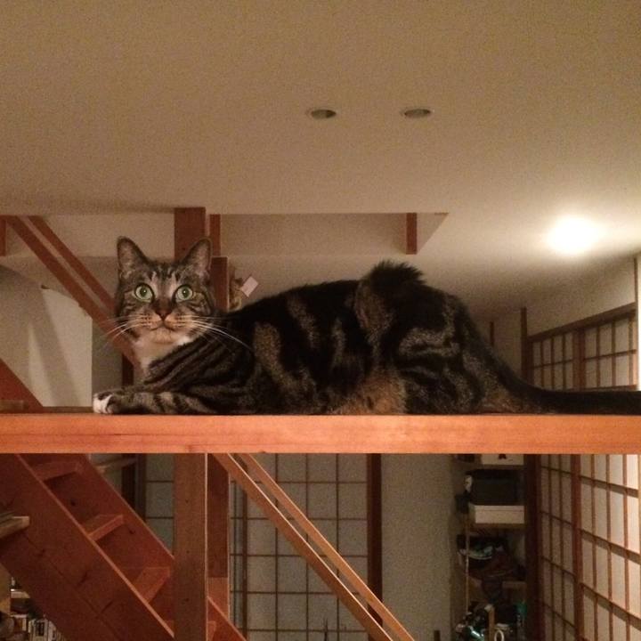 Eeb09de9 3847 4c2a bb53 1803690be7a7