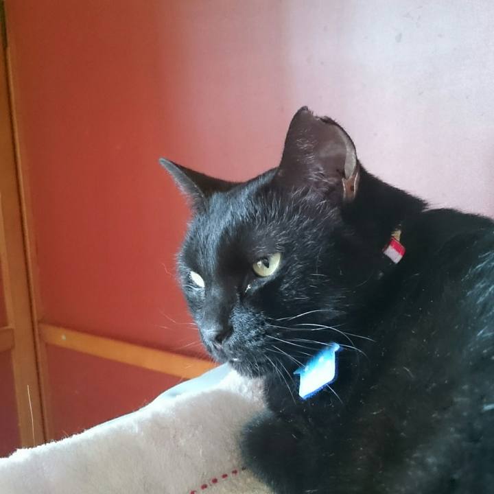 Eeb11aac a01e 4704 b2f4 b6cc59fa0480