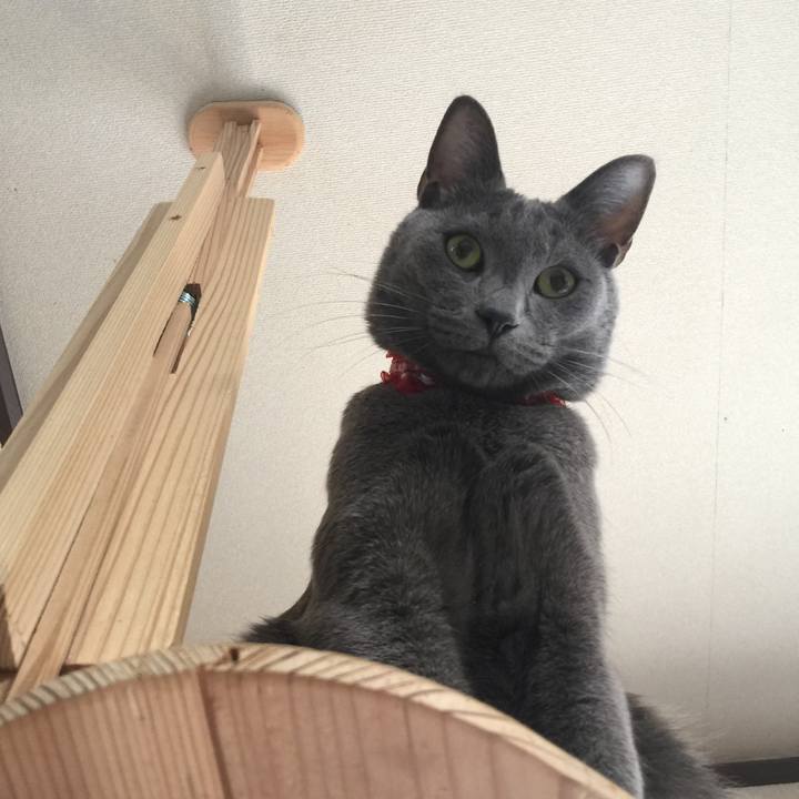 Eeb18c09 49b4 454a 96e6 17e8459356a0