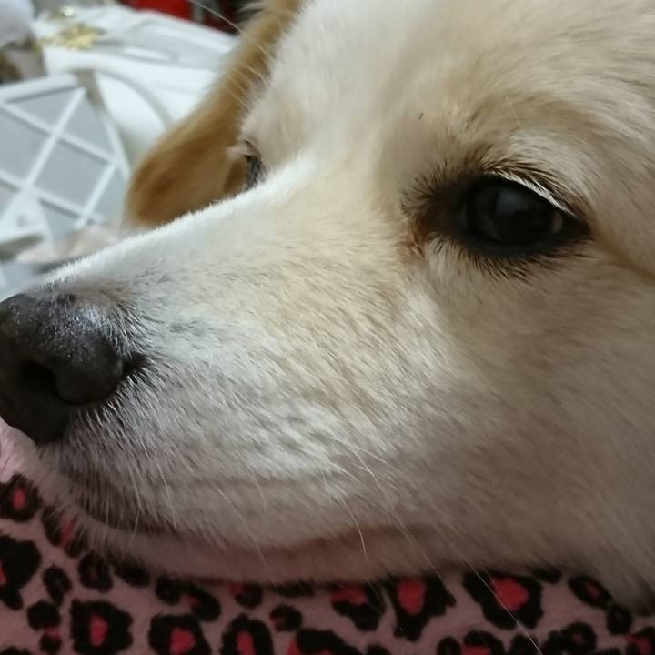 Eeb1b1fc bad4 44f4 8034 018bc1382317