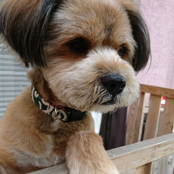 Eeb1f3a8 32d7 427a b790 797d967fc24c