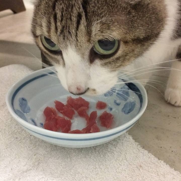 Eeb1fd64 be03 4fa1 bd5a 42489e8ddd73