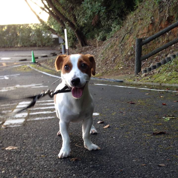 Eeb20d96 09ad 4d8f 8032 c817867b6086