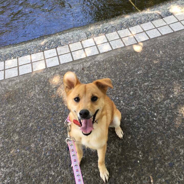 Eeb2817d 3696 4d4a a168 65f023b4a5c1