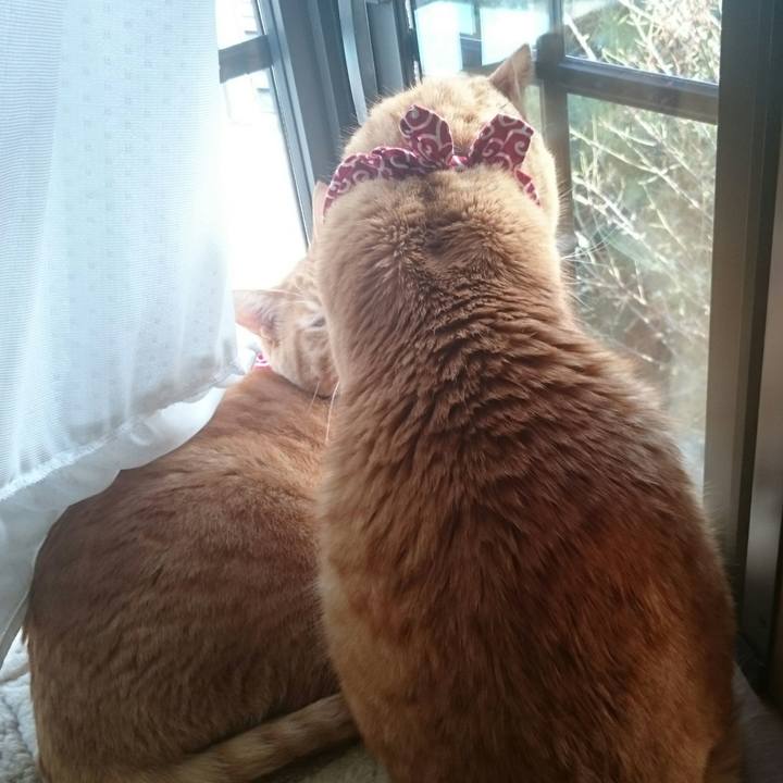 Eeb2a5e8 1b29 4fef b623 6ee150a92f43