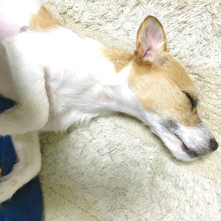 Eeb2b861 f5c4 45d7 a8a6 be816e53cec1