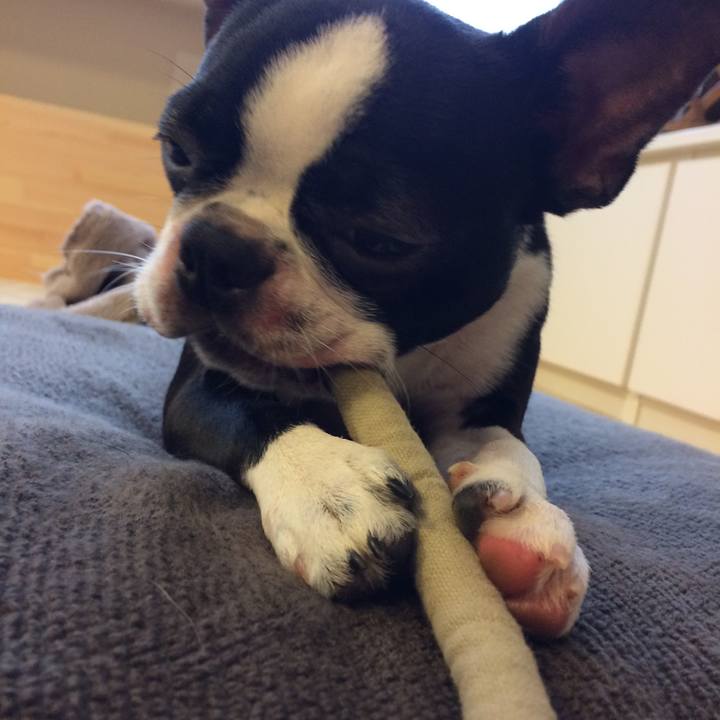 Eeb33a80 be34 479c aad3 bf5d7a534861