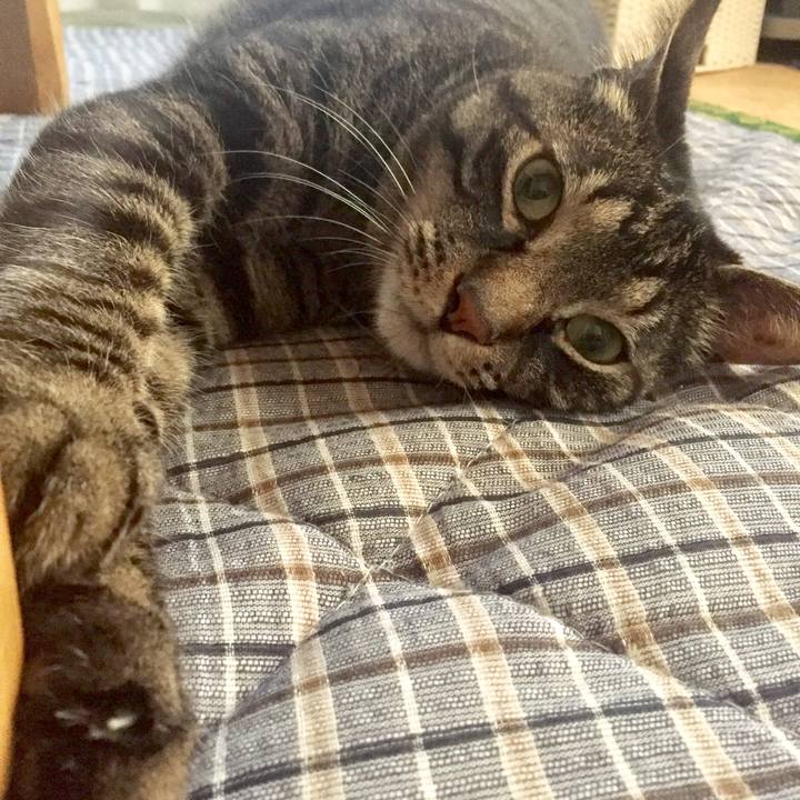 Eeb359ea 0474 418a 8d6f 8cfb35a10e08