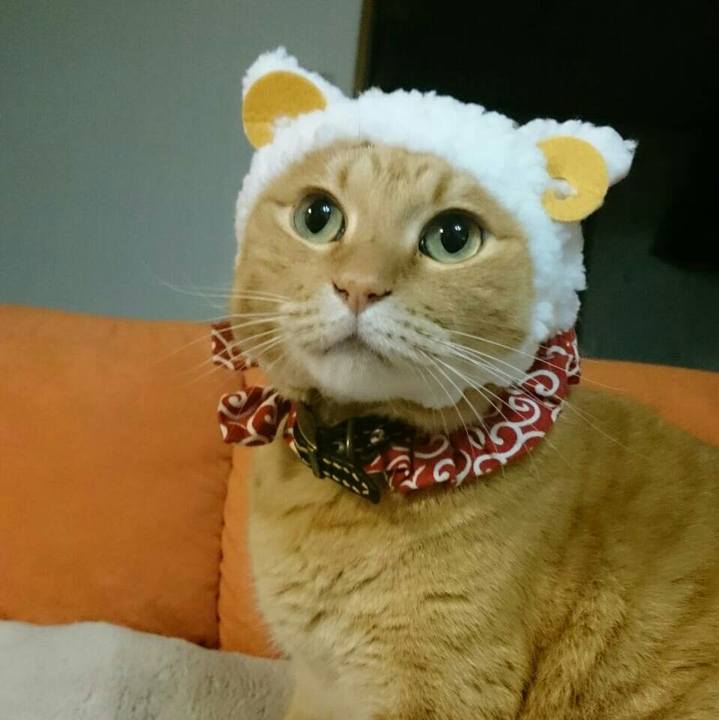 Eeb38d42 101b 443f 8973 0a15e2a275d9