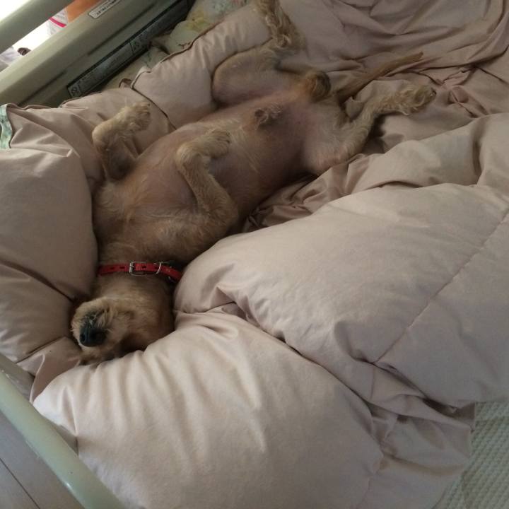 Eeb3a066 ad59 4312 aefb 091bb1b1f227