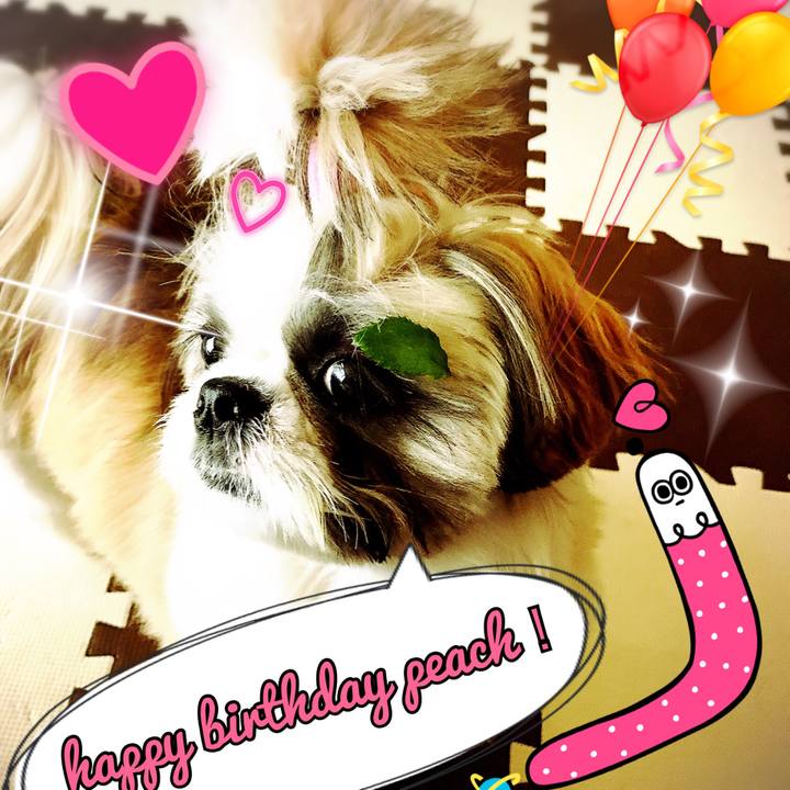 Eeb3e0f6 6913 4243 a8c5 a23f386fcbf8