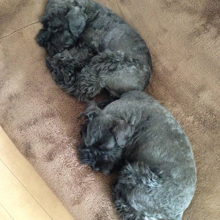 Eeb416c9 25ce 49da aafd 12ec94eb6b46