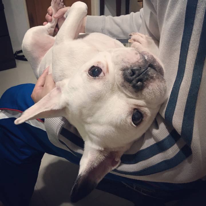 Eeb46179 f08c 4037 83f1 32fac4be5fbb