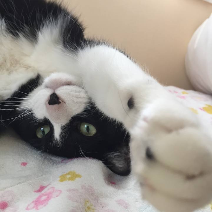 Eeb49a63 3dbd 4167 ad08 35de3f52770c