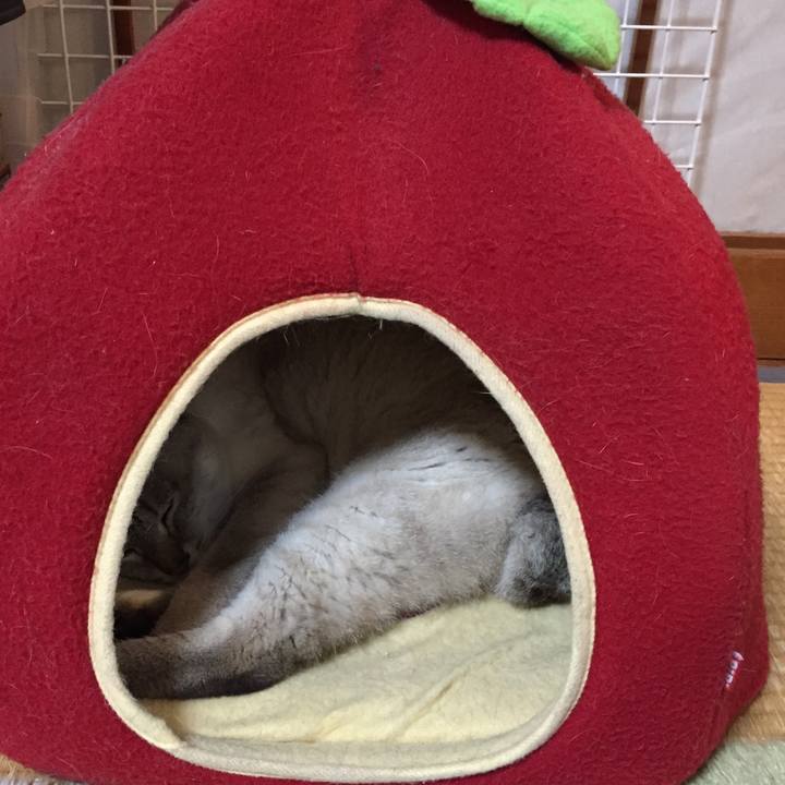 Eeb5d899 a4a5 4239 86dc 4b7793862634