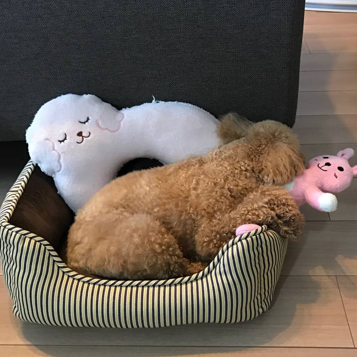 Eeb67ee6 3d76 4dec 8fe3 da065983c3cf