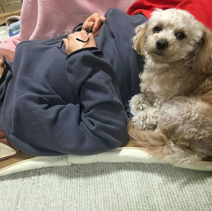 Eeb72857 5e22 42bf 885d 0d854425e3d7