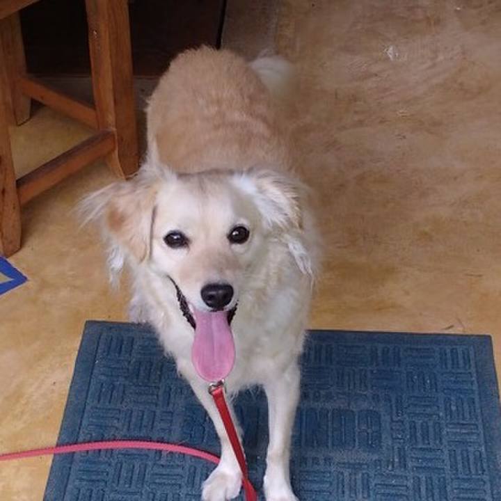 Eeb73841 5172 4fe2 a4d0 fd8f5eea25c8