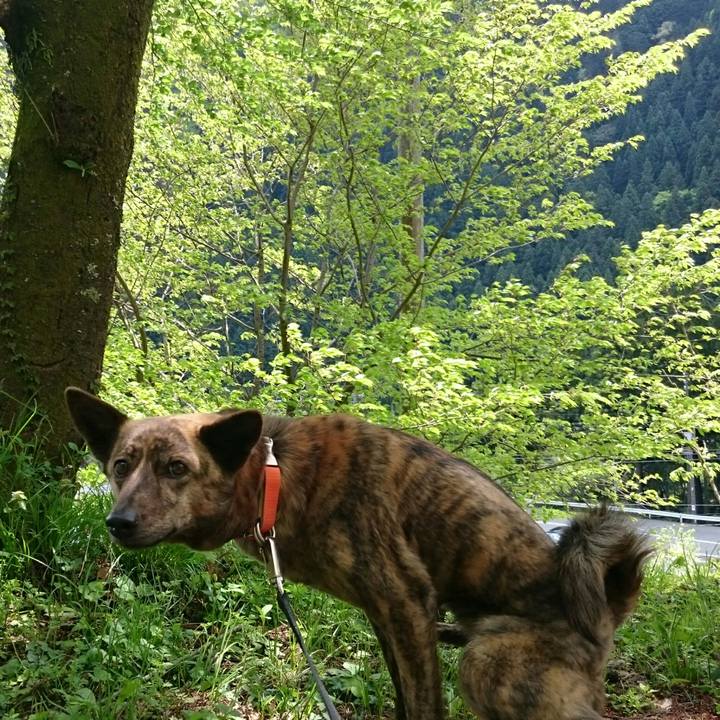 Eeb78bb4 b99d 4c00 bbec 55f6ae082bd8