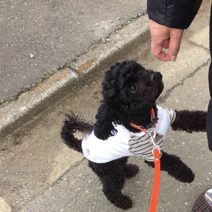 Eeb7f222 b619 4917 a802 e473e349418e