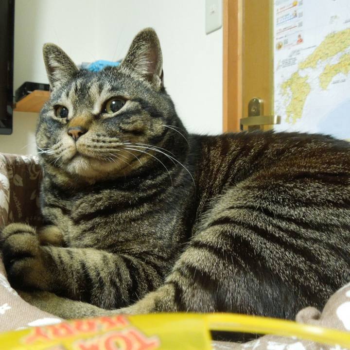 Eeb8c5d0 13fc 4fde 94f5 880582220a8d