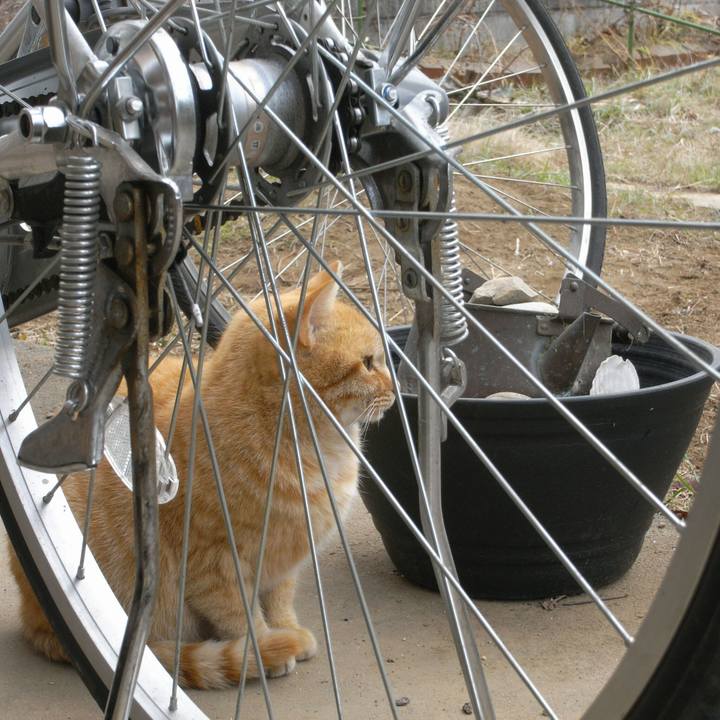 Eeb97e10 c4dd 4d0d 856f e262a4a41b43