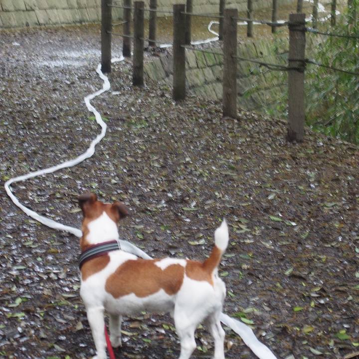 Eeb984ab f5d6 49cd b515 097d1d6f8469