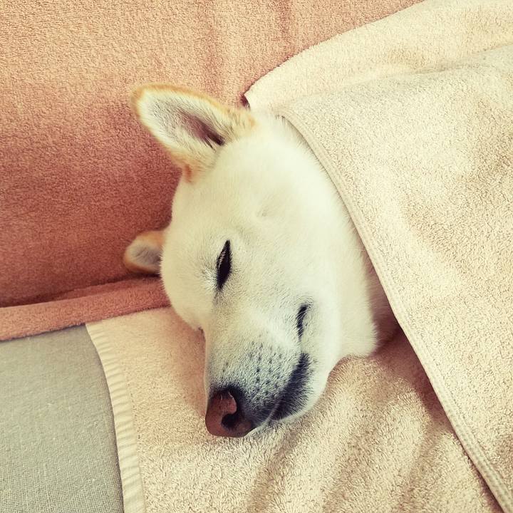 Eeb9a346 3d74 4388 85f4 56977be8bf64