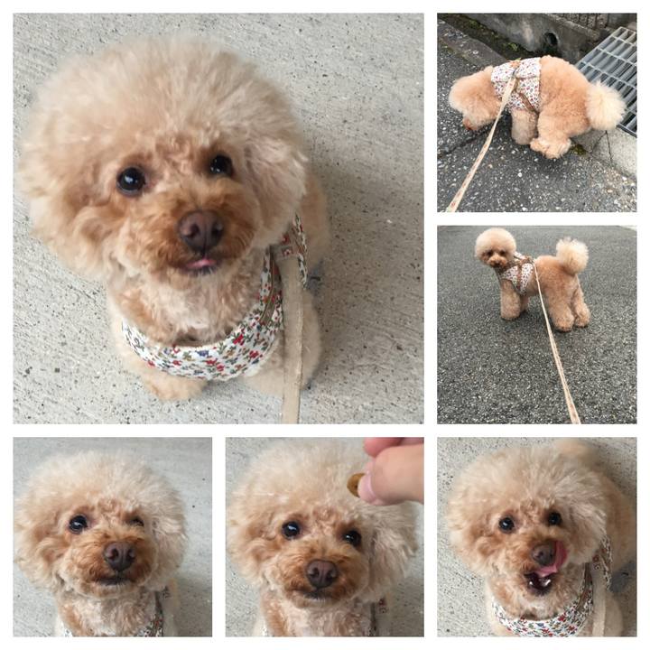 Eeb9ffee c025 42ae 8425 d81fc76cd420