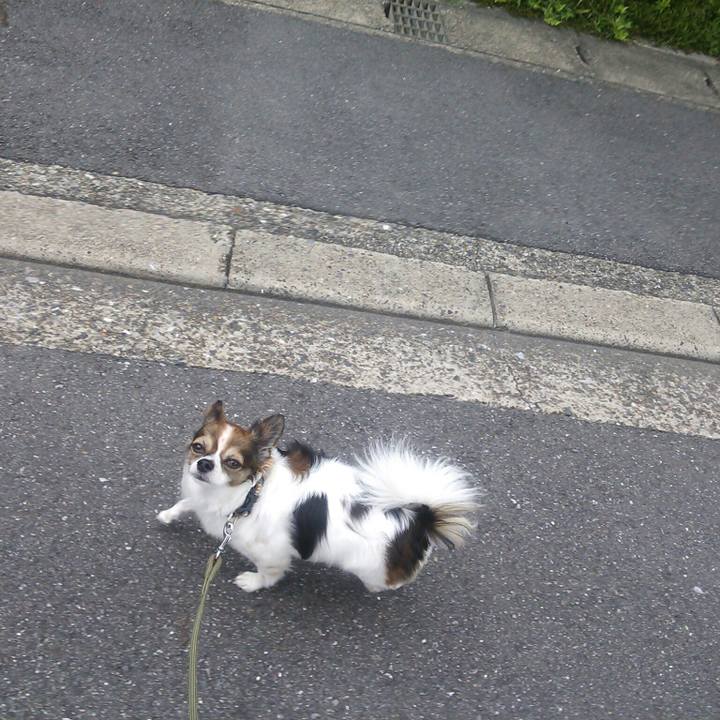 Eeba6b7f 7ea8 4966 a6ca 75b007050084