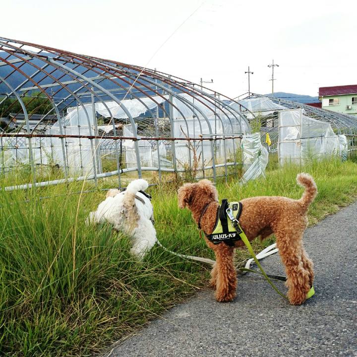 Eebb1bce f337 46cb 8e1f 7f1d9ef60a2d