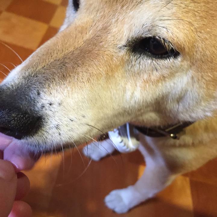 Eebb85d4 bc5f 4459 a198 22a4e2bdf6bb