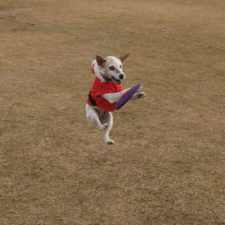 Eebba69a f234 449a af47 1eb719108a44