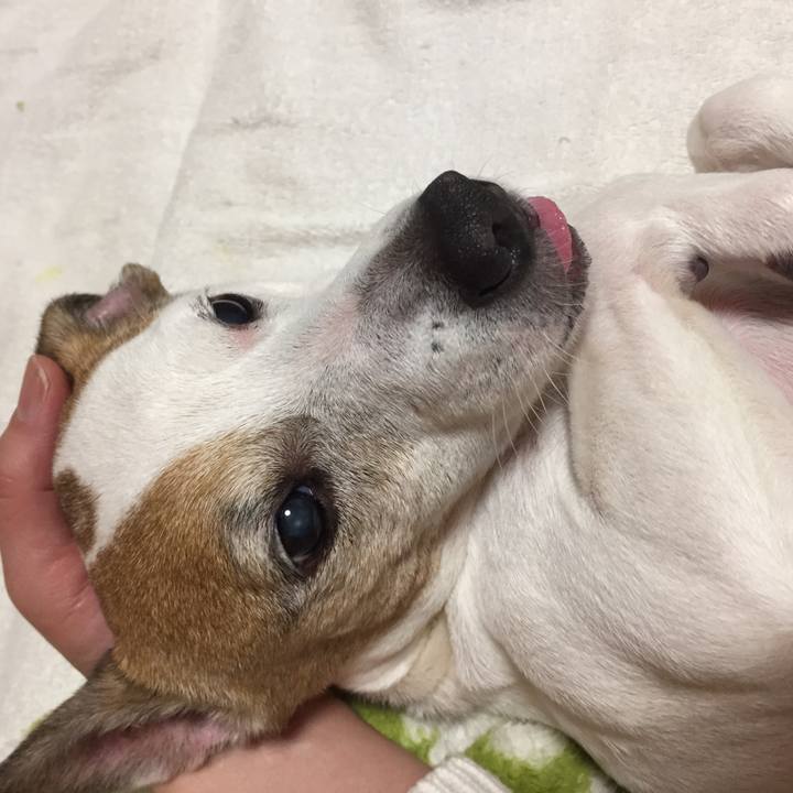 Eebbac74 d8b9 4a57 8701 52163293dedf