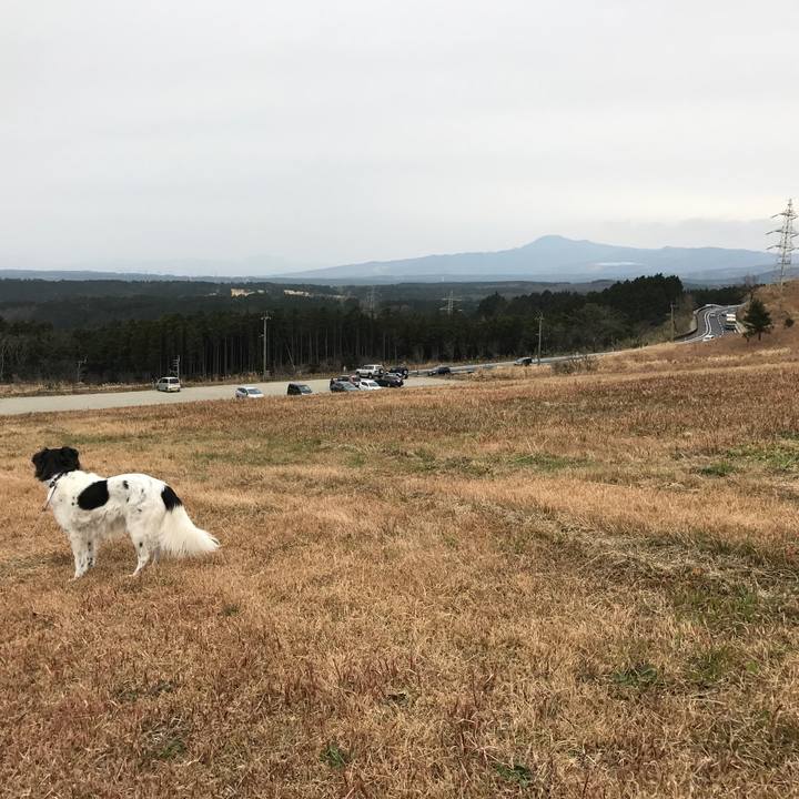 Eebc31d2 ac97 457f 9093 9f78dd9396f9