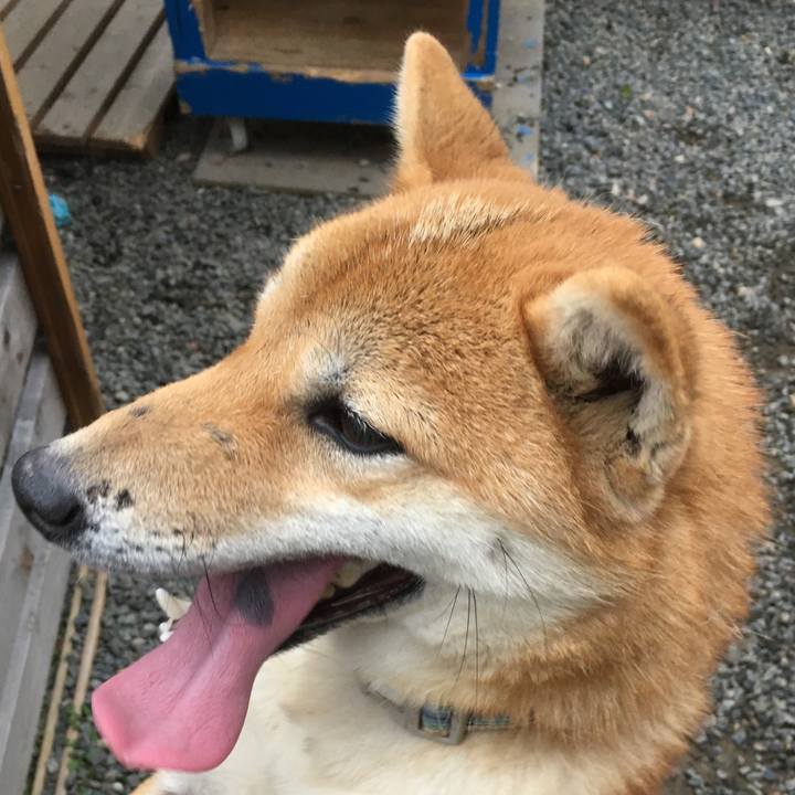 Eebc39c9 323c 4f06 a6ec 9552b0a04bf3