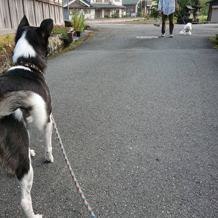 Eebc6d99 8389 4265 a0ee 06c2c319bb66