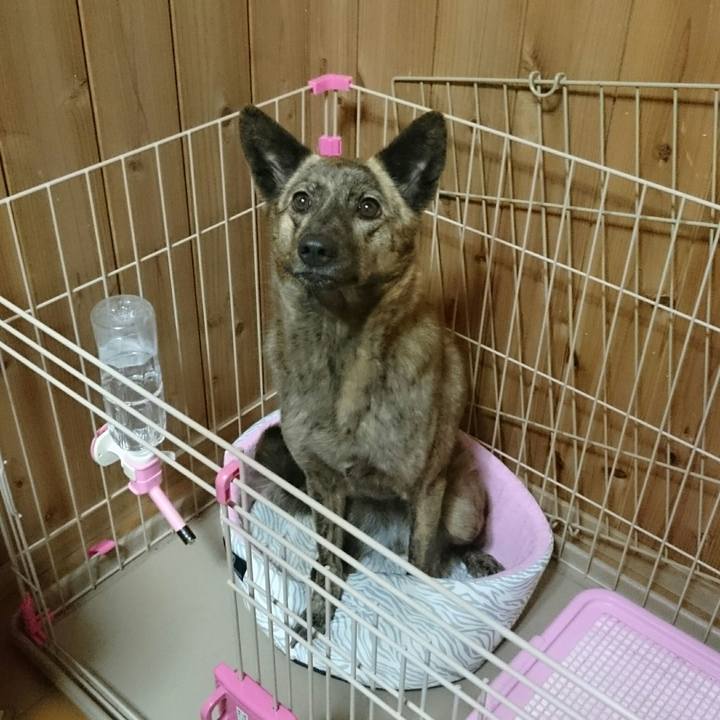 Eebc94c3 986c 45f2 a61d 2bf594809218