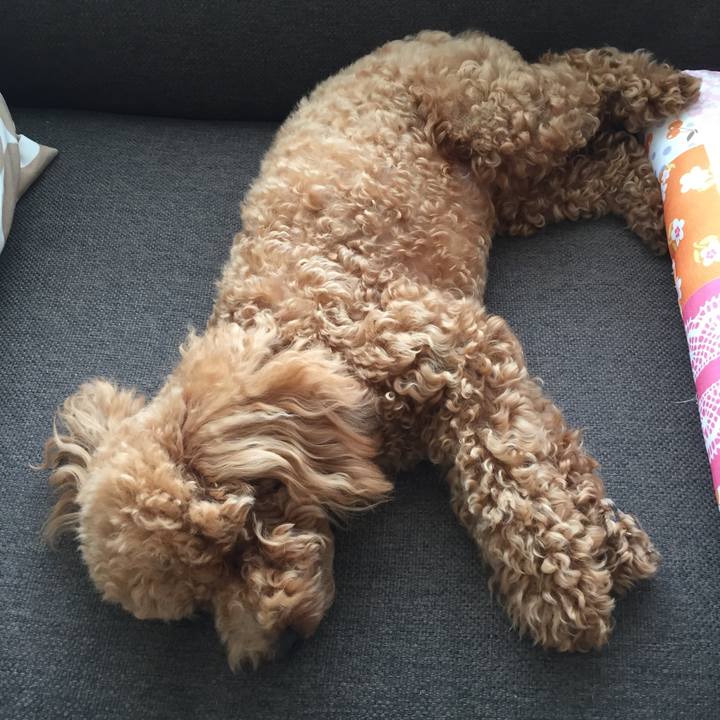 Eebca797 345c 49f8 b876 0416158ee6f2